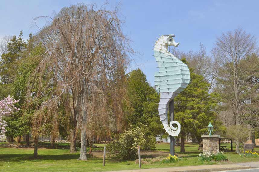 contact seahorse